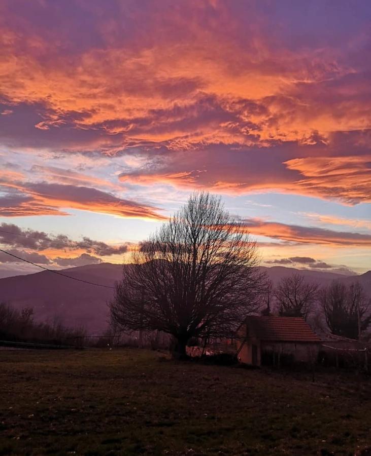 Bellavista B&B Roccavivara Εξωτερικό φωτογραφία