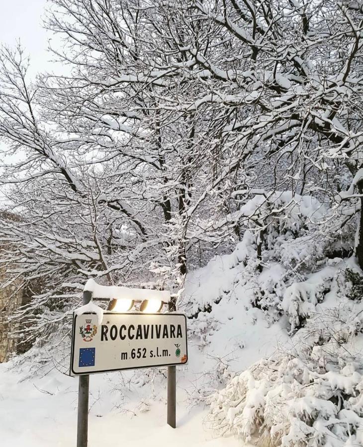Bellavista B&B Roccavivara Εξωτερικό φωτογραφία